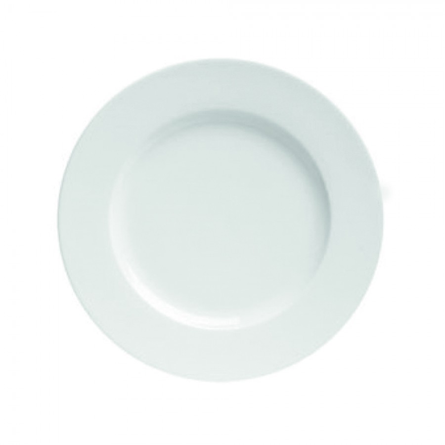 Dinner plate
